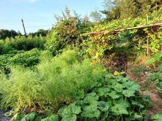 Charles Kang님의 O학년 △반 이세요? · 참여글 작성글 사진