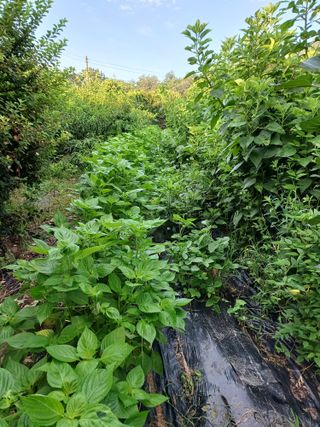 Charles Kang님의 O학년 △반 이세요? · 참여글 작성글 사진