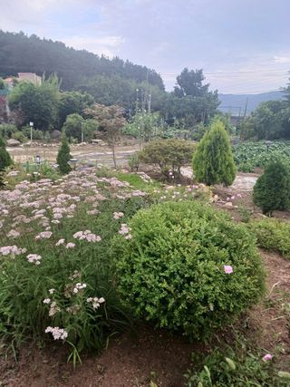 Charles Kang님의 O학년 △반 이세요? · 참여글 작성글 사진