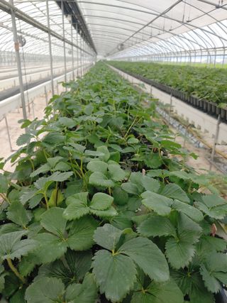 전성란님의 O학년 △반 이세요? · 참여글 작성글 사진