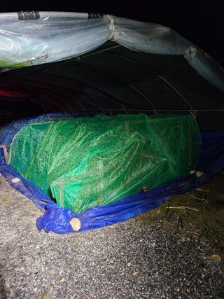 홍&이님의 참깨 · 자유게시판 작성글 사진