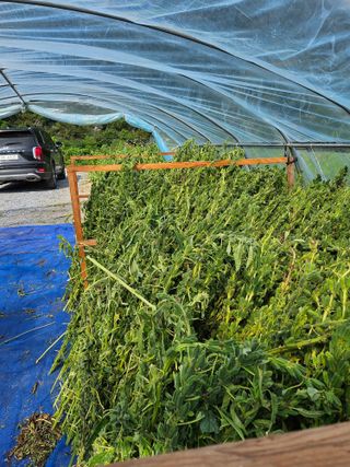 홍&이님의 참깨 · 자유게시판 작성글 사진