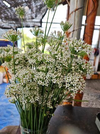 홍&이님의 자유주제 · 자유게시판 작성글 사진