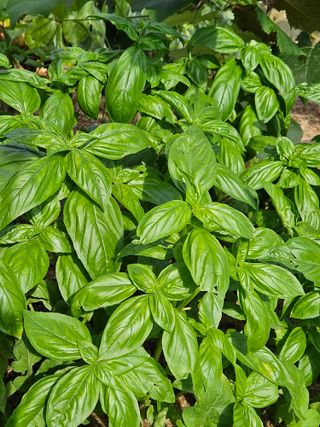 홍&이님의 자유주제 · 자유게시판 작성글 사진