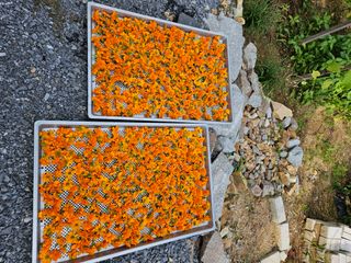 홍&이님의 자유주제 · 자유게시판 작성글 사진