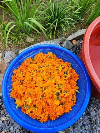 홍&이님의 자유주제 · 자유게시판 작성글 사진