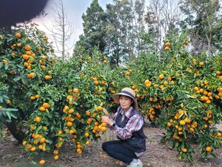 이명희님의 O학년 △반 이세요? · 참여글 작성글 사진