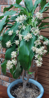 팜모닝 O학년 △반 이세요?·참여글 게시글 이미지