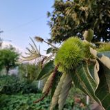 팜모닝 자유주제·자유게시판 게시글 이미지