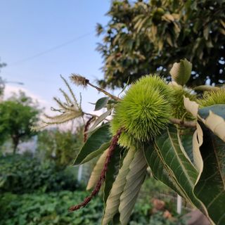 이종권님의 자유주제 · 자유게시판 작성글 사진