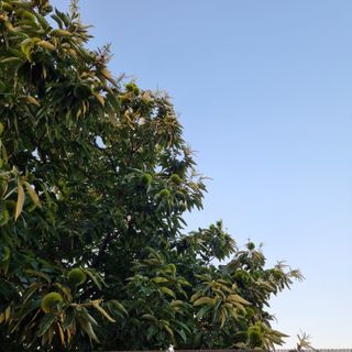 이종권님의 자유주제 · 자유게시판 작성글 사진