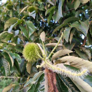 이종권님의 자유주제 · 자유게시판 작성글 사진