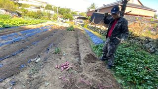 권오진트로트님의 O학년 △반 이세요? · 참여글 작성글 사진