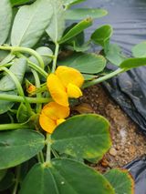 팜모닝 자유주제·자유게시판 게시글 이미지