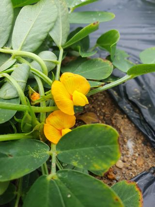 남 샘결 개둥맘님의 자유주제 · 자유게시판 작성글 사진