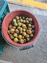 팜모닝 · 게시글 이미지