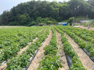 이재운님의 O학년 △반 이세요? · 참여글 작성글 사진