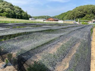 이재운님의 O학년 △반 이세요? · 참여글 작성글 사진