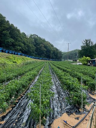 이재운님의 O학년 △반 이세요? · 참여글 작성글 사진