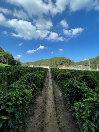 이재운님의 O학년 △반 이세요? · 참여글 작성글 사진