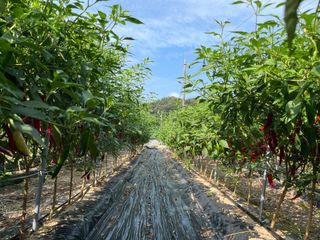 이재운님의 O학년 △반 이세요? · 참여글 작성글 사진