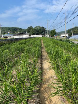 이재운님의 O학년 △반 이세요? · 참여글 작성글 사진