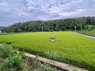 이재운님의 O학년 △반 이세요? · 참여글 작성글 사진