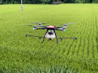 이재운님의 O학년 △반 이세요? · 참여글 작성글 사진