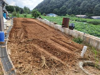 농막쥔님의 O학년 △반 이세요? · 참여글 작성글 사진