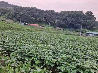 김영미님의 O학년 △반 이세요? · 참여글 작성글 사진