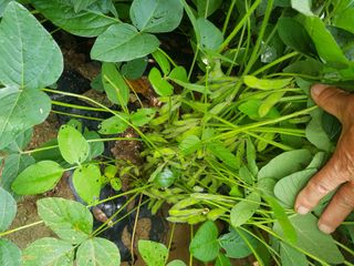 전병일님의 O학년 △반 이세요? · 참여글 작성글 사진