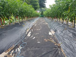 전병일님의 O학년 △반 이세요? · 참여글 작성글 사진