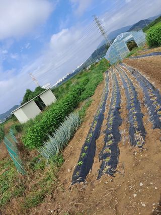 자연인님의 O학년 △반 이세요? · 참여글 작성글 사진