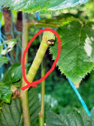 이현민님의 자유주제 · 자유게시판 작성글 사진