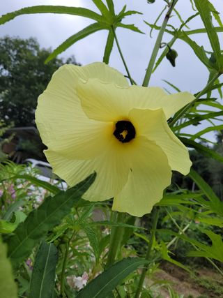 이현민님의 자유주제 · 자유게시판 작성글 사진