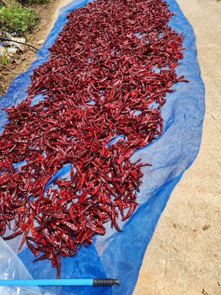 오임택 님의 O학년 △반 이세요? · 참여글 작성글 사진