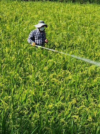 오임택 님의 O학년 △반 이세요? · 참여글 작성글 사진