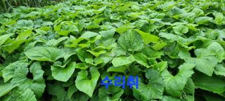 장관덕님의 O학년 △반 이세요? · 참여글 작성글 사진