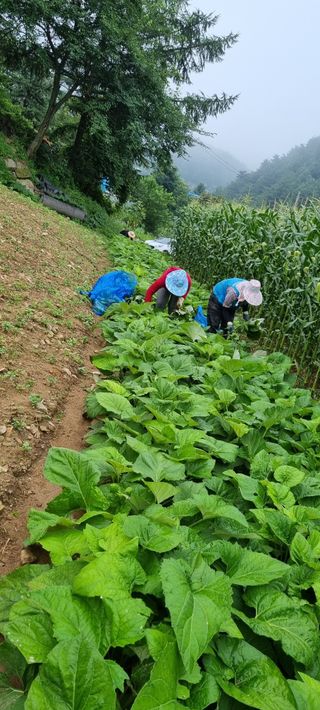 장관덕님의 O학년 △반 이세요? · 참여글 작성글 사진