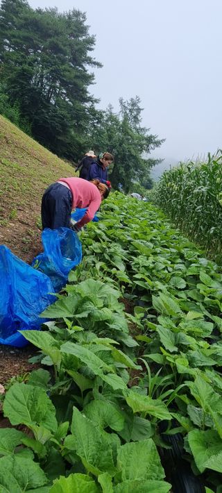 장관덕님의 O학년 △반 이세요? · 참여글 작성글 사진
