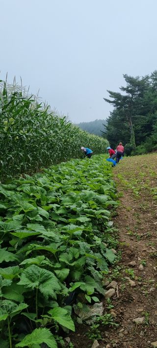 장관덕님의 O학년 △반 이세요? · 참여글 작성글 사진