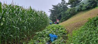 장관덕님의 O학년 △반 이세요? · 참여글 작성글 사진