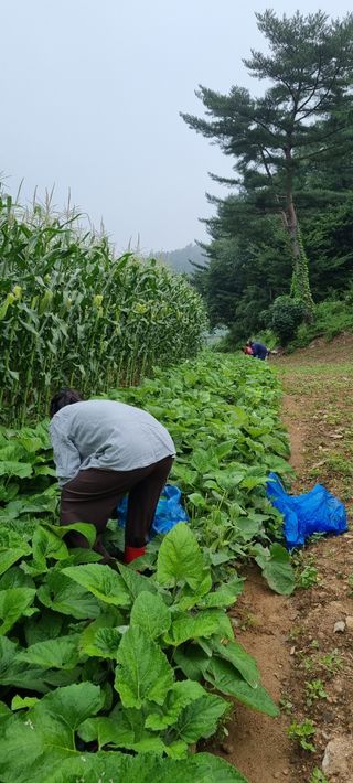 장관덕님의 O학년 △반 이세요? · 참여글 작성글 사진