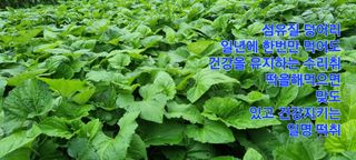 장관덕님의 O학년 △반 이세요? · 참여글 작성글 사진