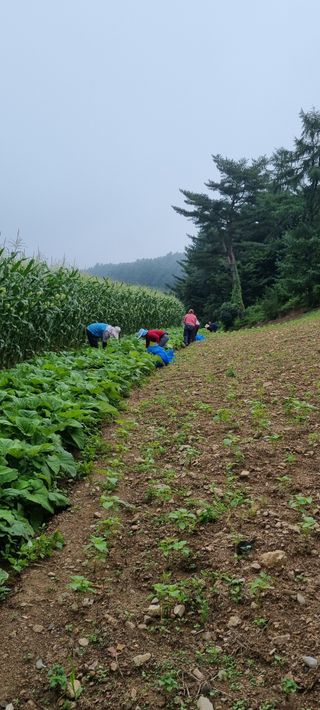 장관덕님의 O학년 △반 이세요? · 참여글 작성글 사진