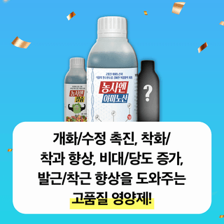 팜모닝님의 팜모닝공식 · 혜택 작성글 사진