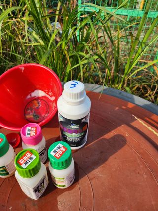 윤정숙님의 고추 · 영농일지 작성글 사진