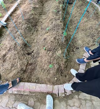 조성윤님의 오이 · 영농일지 작성글 사진