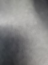 팜모닝 토마토·일상 게시글 이미지