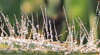 이정운님의 O학년 △반 이세요? · 참여글 작성글 사진